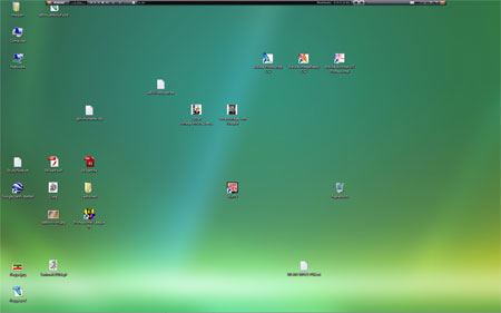 Screenshot meines Windows Vista Desktops